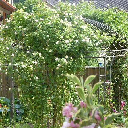Enzkreisspitze Garten Apartamento Neuenburg (Enz)