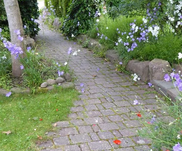 Enzkreisspitze Garten