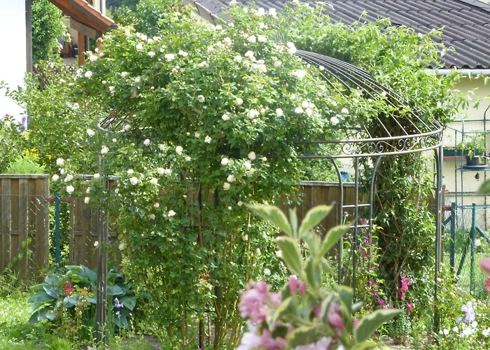 Enzkreisspitze Garten Apartman Neuenbürg